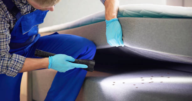 Best Wasp Removal Services  in Biltmore Forest, NC